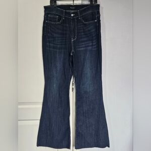 Judy Blue Flare Jeans